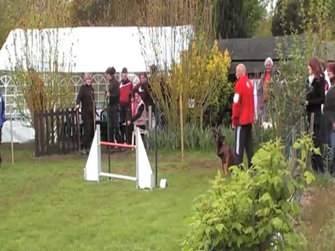 EVY 1ER DEGRE CABOCHARDS