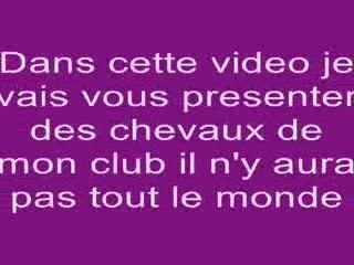 la moitier des chevaux de mon club