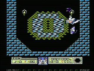 CGRundertow TINY TOONS ADVENTURES for NES Video Game Review