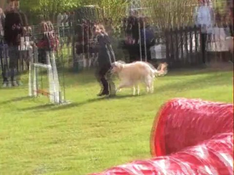 CERISE JUMPING CABOCHARDS