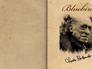 "Bluebird" by Charles Bukowski (Poetry Reading)
