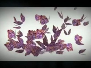 Recovery Living For Women in Delray Beach, Florida