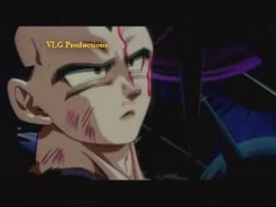 DBZBitches