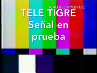 Señal en prueba de Tele Tigre en Dailymotion