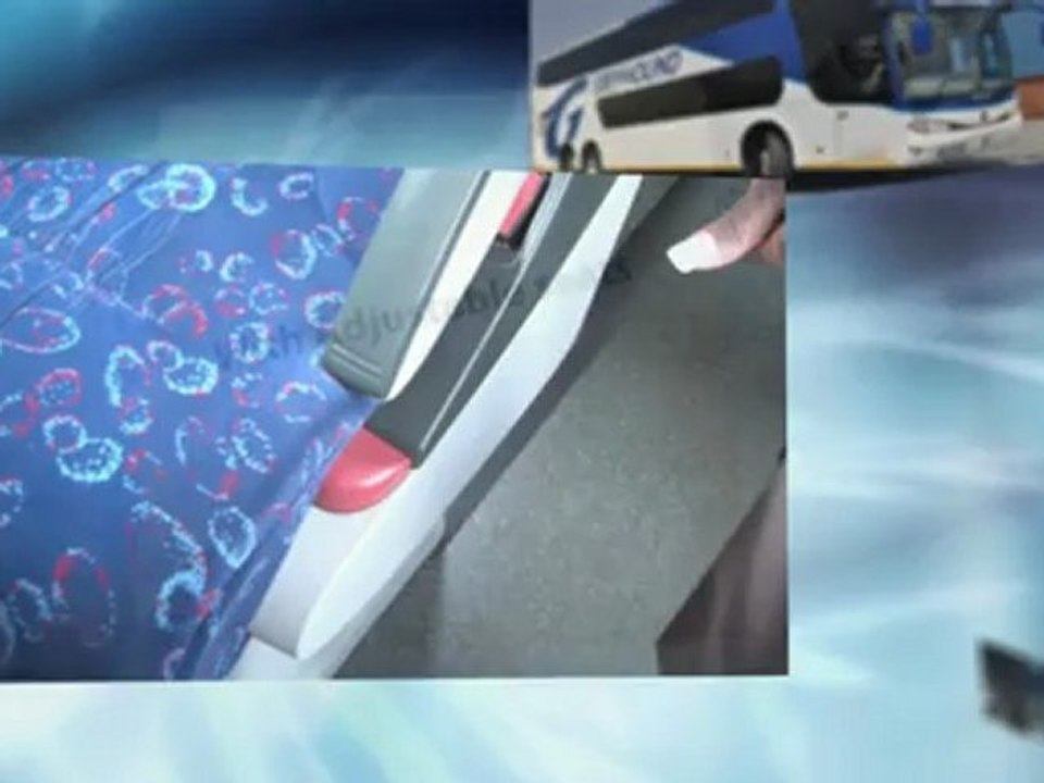 Greyhound Winter Luxury