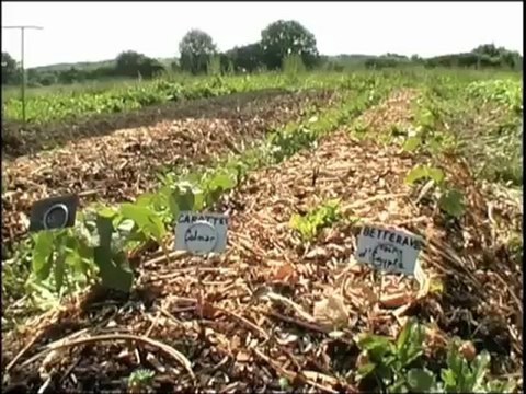 De la révolution à l'évolution - Permafest 2010 - Le festival de permaculture 2012 se déroulera en France au Domaine de la Source à Villars Sur Var, du 25 au 29 juillet