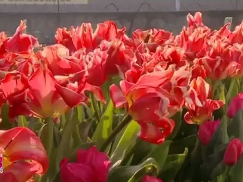 7 avril 2012 - 10ème Semaine du Développement durable