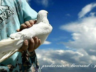 Sarkozy souvenirs douloureux pour la démocratie (musique Rap).