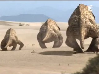 Terre des géants (2)