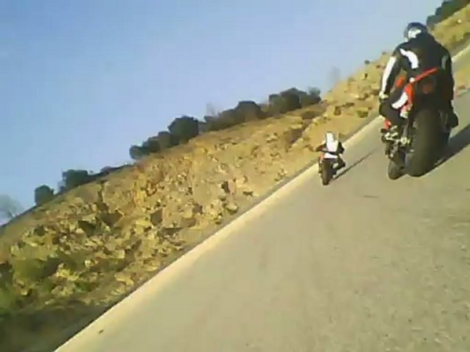 ALES_250312
