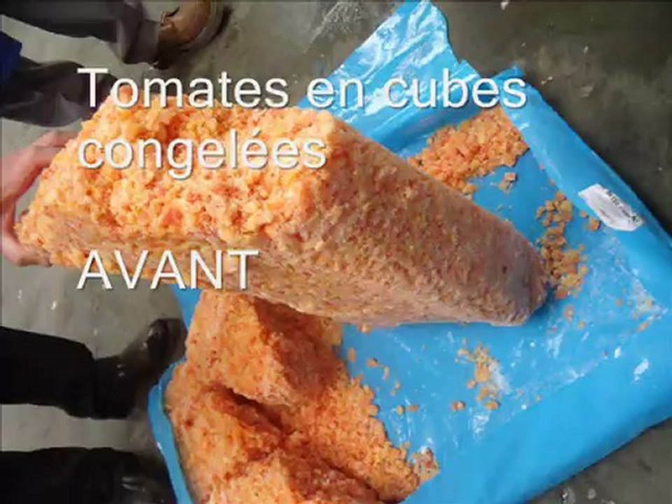 Granulateur industriel : Palamatic Process