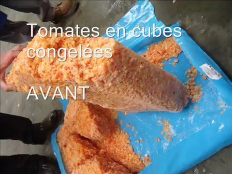 Granulateur industriel : Palamatic Process