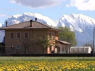 imu e acqua pensionati in ginocchio