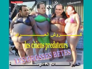 Tous contre L'animal Mohamed6 كلنا ضد محمدالسادس الحيوان لمفترس