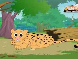 Animal Sounds - Cheetah