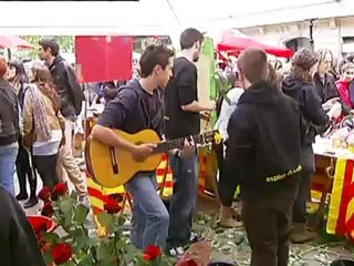 TV3 - Telenotícies - Set milions de roses venudes