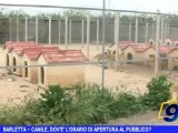 Barletta | Canile, dov'è l'orario di apertura al pubblico?