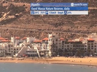 Agadir - Morocco, Sydney - Australia, Ascona - Ticino - Switzerland, Cannes - France, Vienna - Austria, Avignon - France, Cologne - Germany