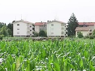 lappello del settore immobiliare