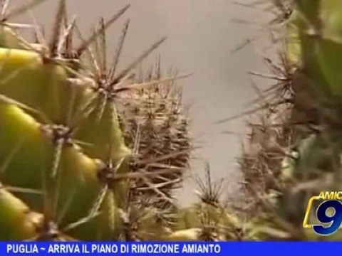 Puglia | Arriva il piano di rimozione amianto