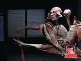 Napoli - Body Worlds, la mostra shock sul corpo umano 2 (12.04.12)