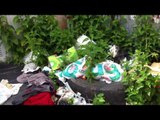 Aversa - Discarica di rifiuti speciali in pieno centro (18.04.12)