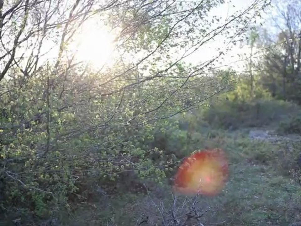 DAWNSHAPE "Either This // Much Long" Recordings
