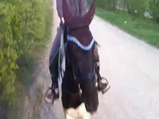 utopia le long de la national