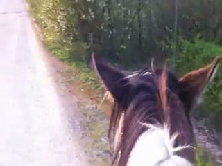 utopia balade avec vinston