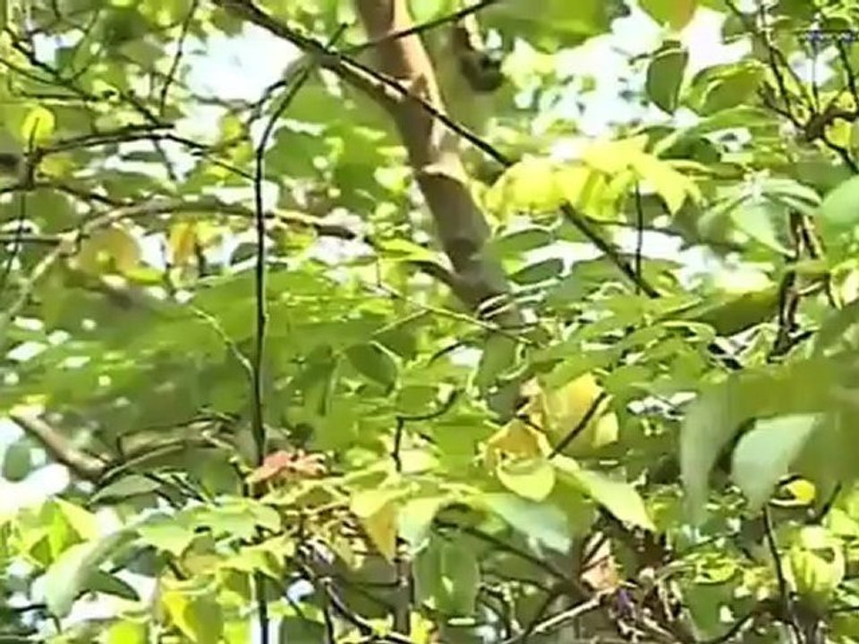 รายการ กระจกหกด้าน วันที่ 24 เมษายน 2555