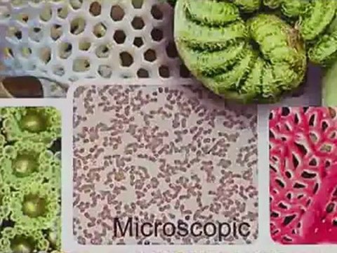 Nueva EcoSport 2012:Ford develó la Nueva EcoSport de producción - Vistas Diseño