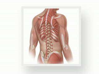 The FPR Program | Microactivation - A Solution for Low  Back