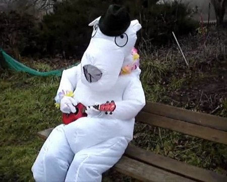 Mais comment font les pingouins?