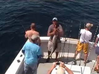 Destin Fl Fishing- Cobia, Tiger Shark, Red Snapper