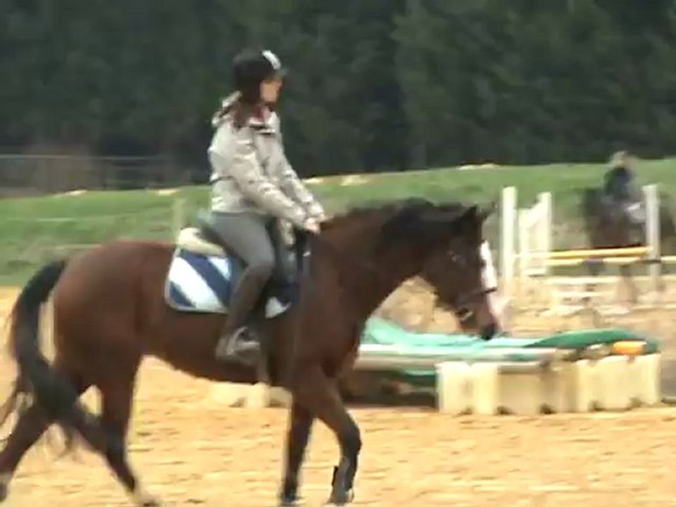 Quara (2)