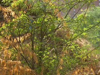 Mein Baba Ki Ladli -Episode 17- Part 03