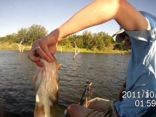 Bass Beards Bogies 2012