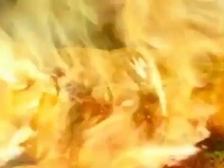 The Hills Have Eyes (remake) - Clip On Fire