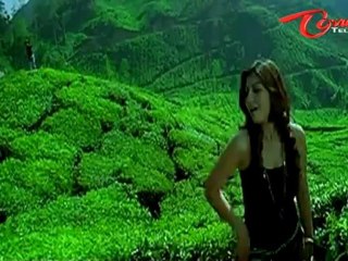 Disco Movie Songs - Aanandam - Nikhil Siddhartha - Sara Sharma
