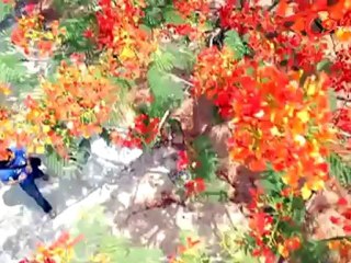 Ee Rojullo Songs - Back To Back - Srinivas - Reshma