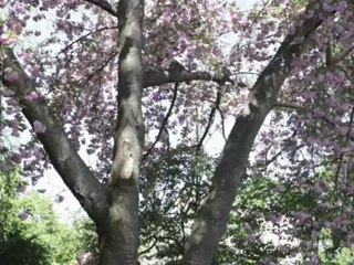 8316 Queen Elizabeth Blvd.