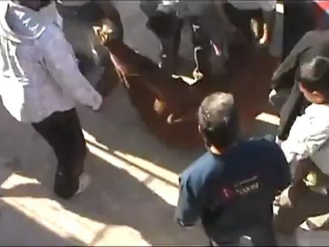 فري برس حلب عندان عملية إخراج شهيد من مهواية مبنى بعد 20 يوم 24 4 2012 Aleppo