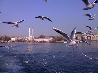 Turan sengul~martilarin kanadinda ucur beni~Desing Asi Prens