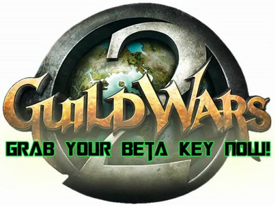 Guild Wars 2 BETA Key and Installer