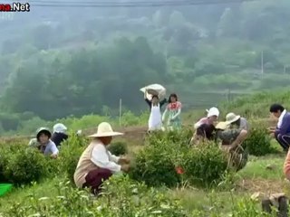 hello_miss_-_15_part_2