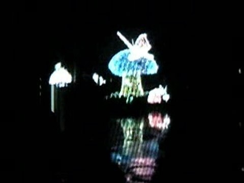 Main Street Electrical Parade