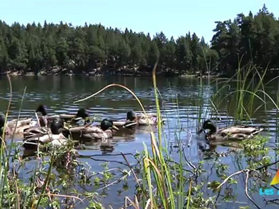 Les Angles L'été