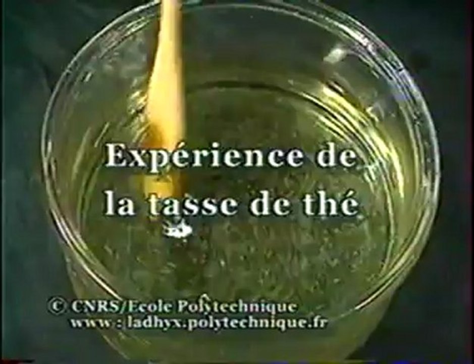 Expérience de la tasse de thé