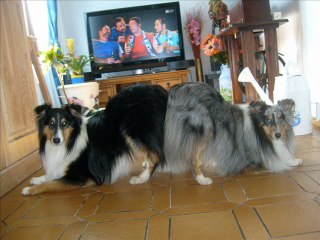 Concours lunéville Cooper et Denver