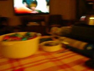 Câline et ses bouchons